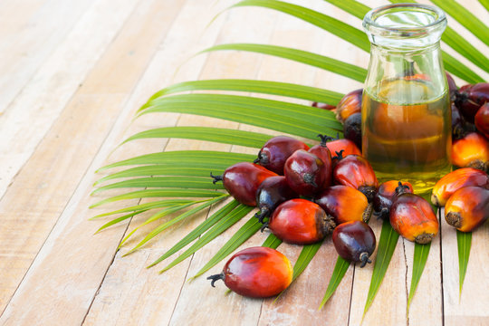 360_F_119974139_e7zfJkCIhGzvgjeQVWtUIo9mqqFu5O3a Palm Oil
