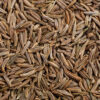 Cumin Seed