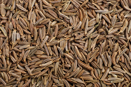 Cumin Seed