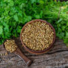 Coriander Seed