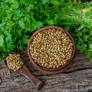 360_F_1544462411_zi8eYMxnmv0Jli1lEzz2B22jMJwdd9f5 Coriander Seed