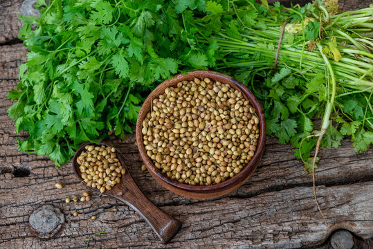 Coriander Seed