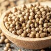 Coriander Seed