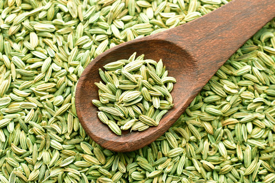 Fennel Seed