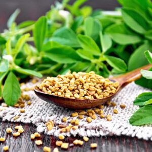 360_F_322525097_kk95U9SO5jwUH5ikiPbDu2vYfMVLlOHM Fenugreek