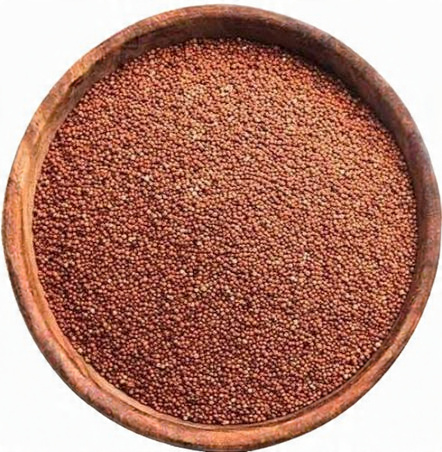 Finger Millet Finger Millet