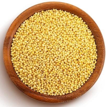 Foxtail Millet