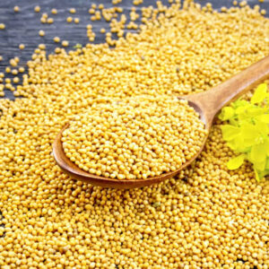 istockphoto-1139571141-612x612 Mustard