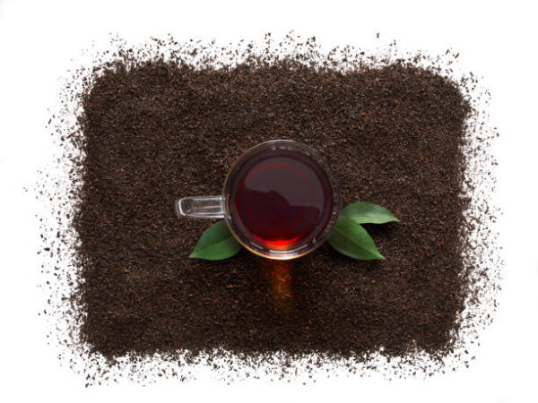 Dry tea leaves on white background Tea Powder