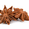 Star anise spice isolated on white background Star Anise