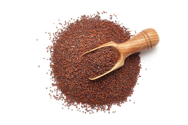 istockphoto-1734979162-612x612 Finger Millet
