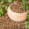 Coriander Seed