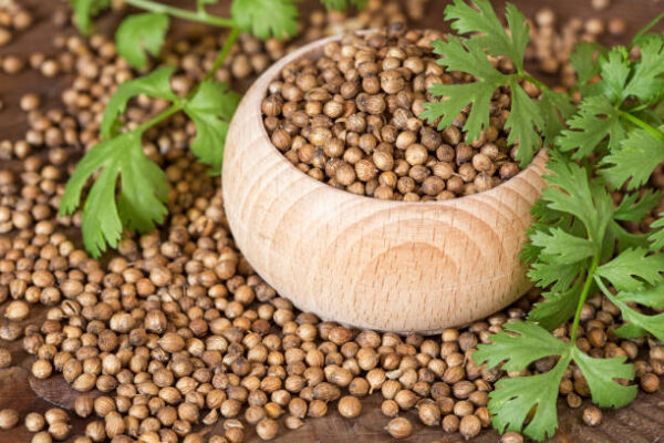 Coriander Seed